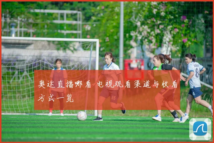 奥运直播哪看 电视观看渠道与收看方式一览