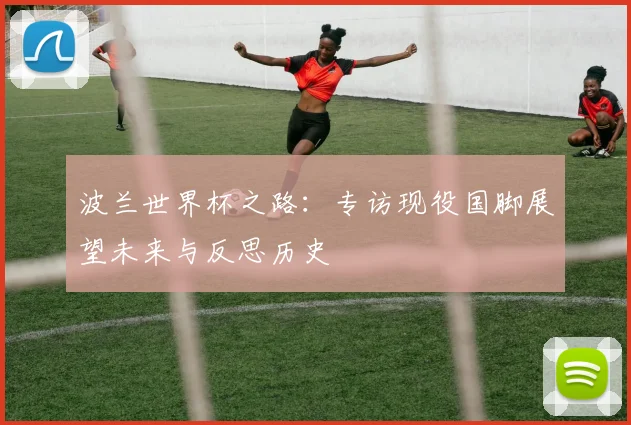 波兰世界杯之路：专访现役国脚展望未来与反思历史